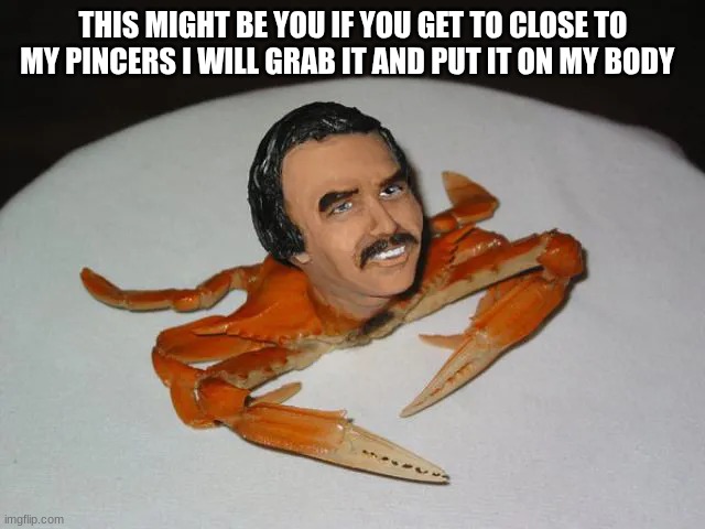 THIS MIGHT BE YOU IF YOU GET TO CLOSE TO MY PINCERS I WILL GRAB IT AND PUT IT ON MY BODY | made w/ Imgflip meme maker