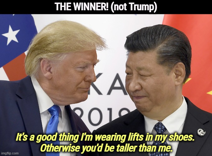 Trump folded again. | THE WINNER! (not Trump); It's a good thing I'm wearing lifts in my shoes. 
Otherwise you'd be taller than me. | image tagged in trump begging xi for help in the election,xi,winner,trump,loser,weak | made w/ Imgflip meme maker