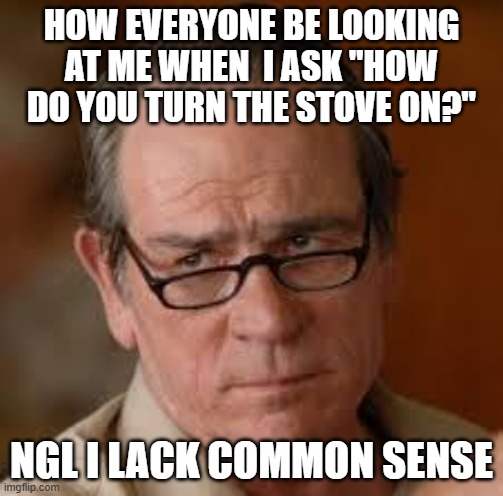 i'd be a goner if i had to go out into the real world | HOW EVERYONE BE LOOKING AT ME WHEN  I ASK "HOW DO YOU TURN THE STOVE ON?"; NGL I LACK COMMON SENSE | image tagged in my face when someone asks a stupid question | made w/ Imgflip meme maker