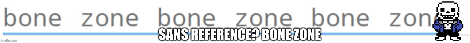 got this on my typing assignment | SANS REFERENCE? BONE ZONE | made w/ Imgflip meme maker