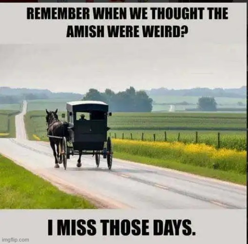 Days gone by... | image tagged in amish,peaceful,people,those who know | made w/ Imgflip meme maker