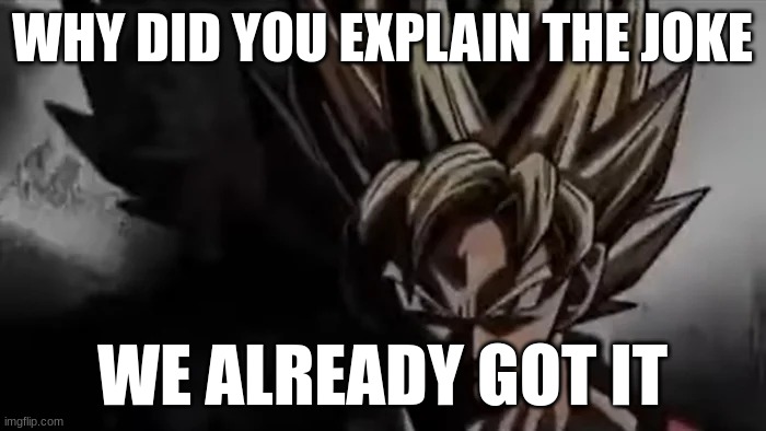 WHY DID YOU EXPLAIN THE JOKE WE ALREADY GOT IT | image tagged in goku staring | made w/ Imgflip meme maker