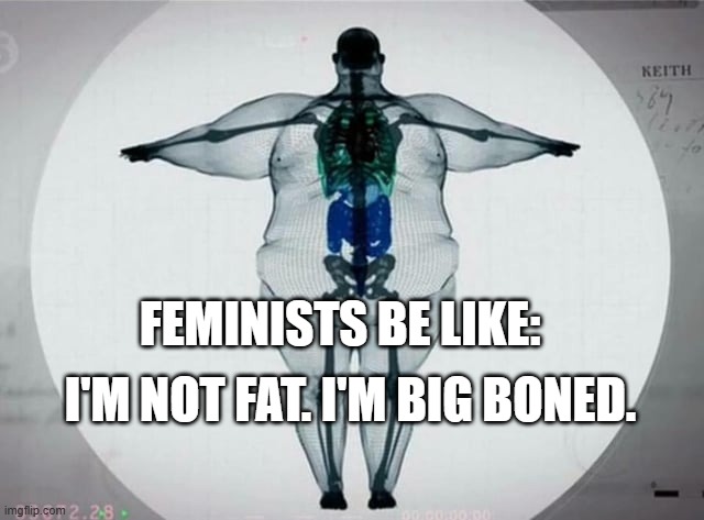prove you wrong | I'M NOT FAT. I'M BIG BONED. FEMINISTS BE LIKE: | image tagged in feminism,triggered feminist,fat people | made w/ Imgflip meme maker