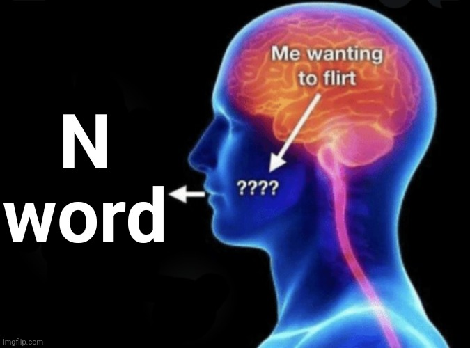 Me wanting to flirt | N word | image tagged in me wanting to flirt | made w/ Imgflip meme maker