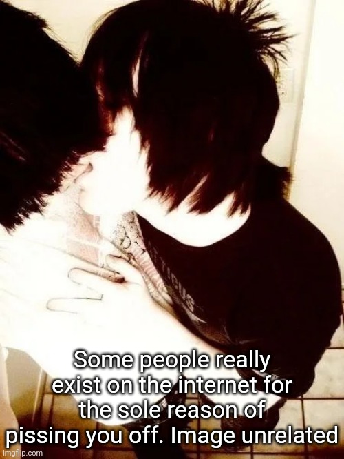 . | Some people really exist on the internet for the sole reason of pissing you off. Image unrelated | made w/ Imgflip meme maker
