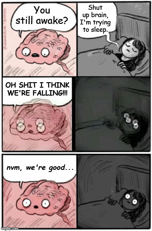 I hate it when your body does that fake fall thing when you're in bed | Shut up brain, I'm trying to sleep. You still awake? OH SHIT I THINK WE'RE FALLING!!! nvm, we're good... | image tagged in brain before sleep,scumbag brain,whyyyyyy | made w/ Imgflip meme maker