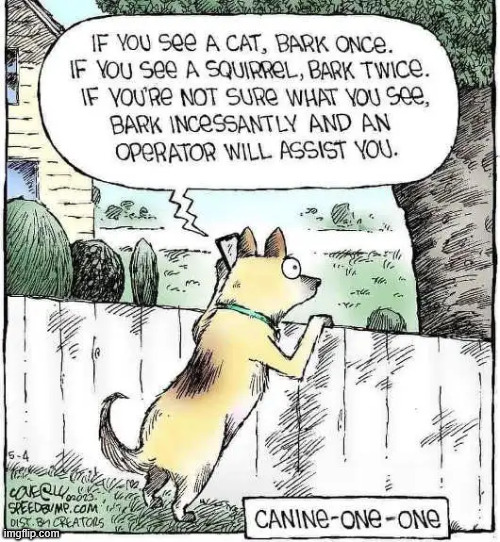 Canine One One... | image tagged in repost,k911 | made w/ Imgflip meme maker