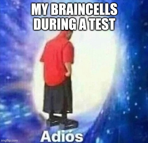 Adios | MY BRAINCELLS DURING A TEST | image tagged in adios | made w/ Imgflip meme maker