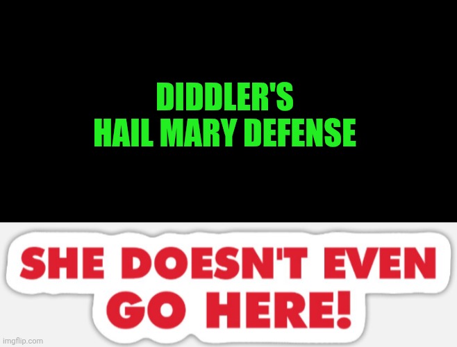 Funny | DIDDLER'S HAIL MARY DEFENSE | image tagged in funny,mean girls,diddy,trial,defense,last words | made w/ Imgflip meme maker