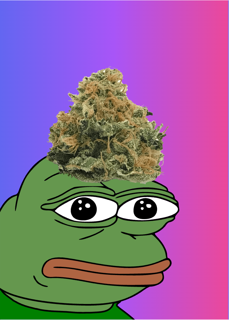 Pepe with weed Blank Meme Template