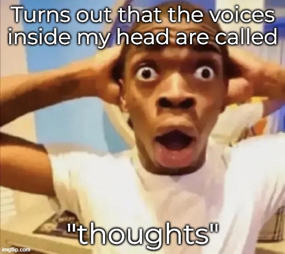 guy with shocked face | Turns out that the voices inside my head are called; "thoughts" | image tagged in guy with shocked face | made w/ Imgflip meme maker