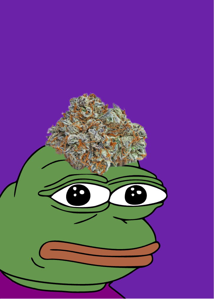 Pepe with Weed Blank Meme Template