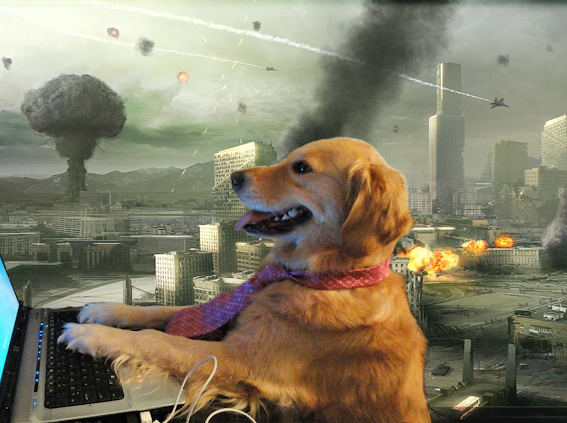 Dog typing with world burning Blank Meme Template