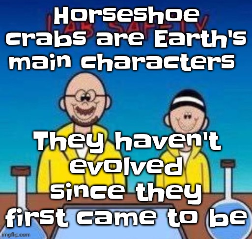 Lab safety with Walter White and Jesse Pinkman | Horseshoe crabs are Earth's main characters; They haven't evolved since they first came to be | image tagged in lab safety with walter white and jesse pinkman | made w/ Imgflip meme maker