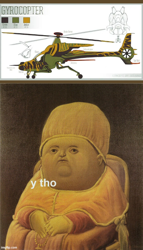 Dragon Adventures is getting...a Helicopter? | image tagged in y tho,dragon adventures | made w/ Imgflip meme maker