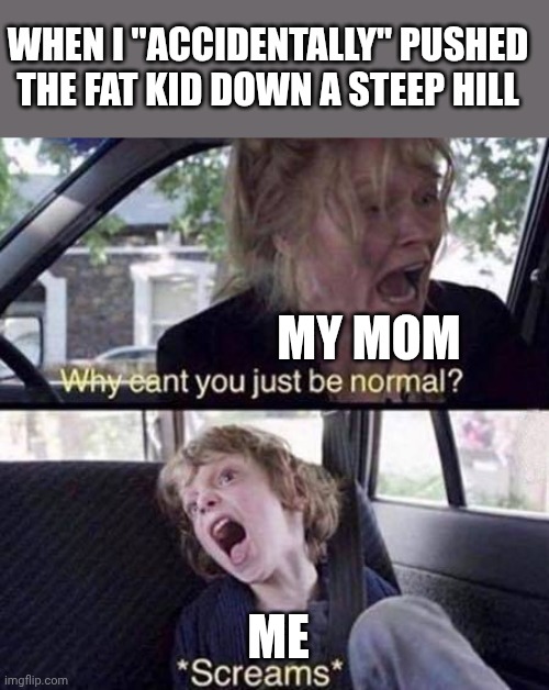 Sarcasm. I think. | WHEN I "ACCIDENTALLY" PUSHED THE FAT KID DOWN A STEEP HILL; MY MOM; ME | image tagged in why can't you just be normal | made w/ Imgflip meme maker