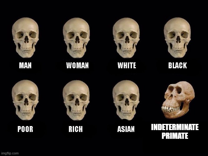 You kids like anti-memes? | INDETERMINATE PRIMATE | image tagged in empty skulls of truth | made w/ Imgflip meme maker