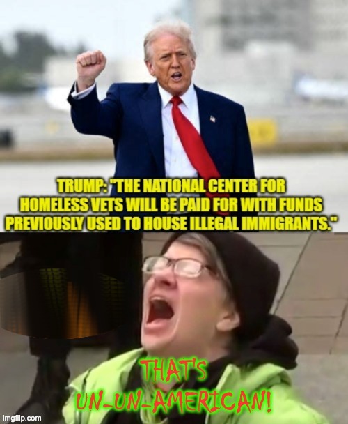 Why Don't You Democrats Support Americans for a Change? | image tagged in tds,nooooooooo | made w/ Imgflip meme maker