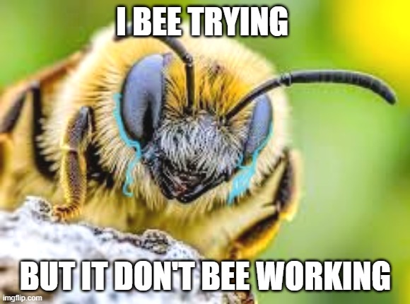 da do be a bee | I BEE TRYING; BUT IT DON'T BEE WORKING | image tagged in memes,funny memes,funny,fun,lol | made w/ Imgflip meme maker