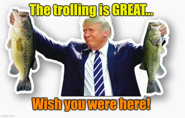 The trolling is GREAT... Wish you were here! | made w/ Imgflip meme maker