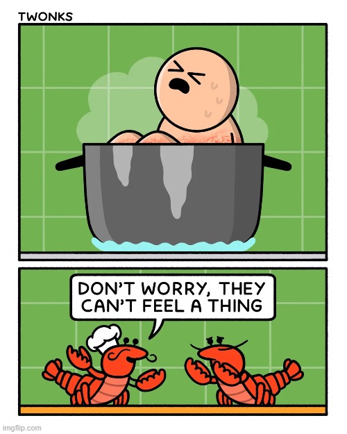 image tagged in lobsters,human,cooking,pain | made w/ Imgflip meme maker
