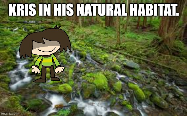WE MUST [[PROCEED]] TO THE [[CIRCLE OF LIFE]] | KRIS IN HIS NATURAL HABITAT. | image tagged in kris,deltarune,home | made w/ Imgflip meme maker