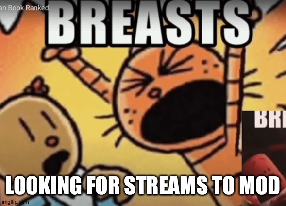 BREAST | LOOKING FOR STREAMS TO MOD | image tagged in breast | made w/ Imgflip meme maker
