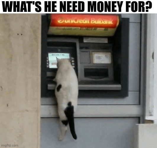 What's He Need Money For? | WHAT'S HE NEED MONEY FOR? | image tagged in chrisjoines1 | made w/ Imgflip meme maker