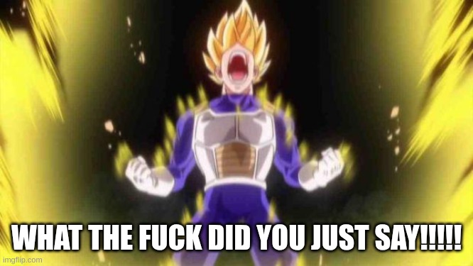 vegeta | WHAT THE FUCK DID YOU JUST SAY!!!!! | image tagged in vegeta | made w/ Imgflip meme maker