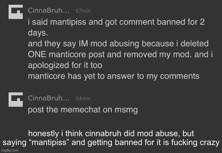 honestly i think cinnabruh did mod abuse, but saying “mantipiss” and getting banned for it is fucking crazy | made w/ Imgflip meme maker