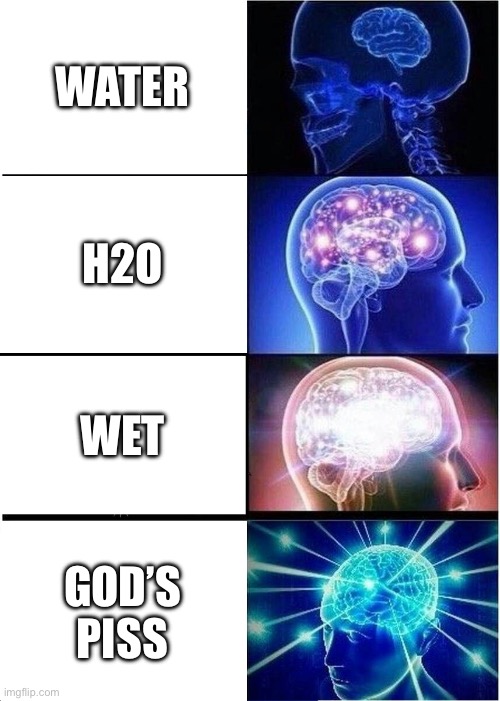 Prove me wrong | WATER; H2O; WET; GOD’S PISS | image tagged in memes,expanding brain | made w/ Imgflip meme maker