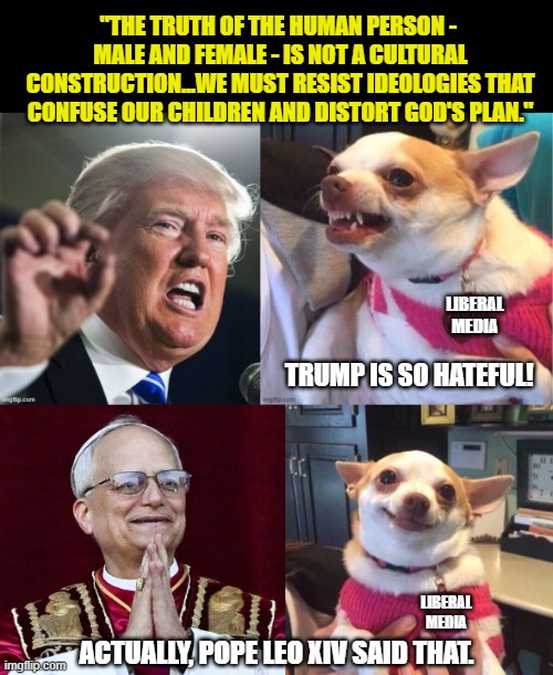 But if he had said it, it would be wrong, right? | "THE TRUTH OF THE HUMAN PERSON -  MALE AND FEMALE - IS NOT A CULTURAL CONSTRUCTION...WE MUST RESIST IDEOLOGIES THAT CONFUSE OUR CHILDREN AND DISTORT GOD'S PLAN."; LIBERAL
MEDIA; TRUMP IS SO HATEFUL! LIBERAL
MEDIA; ACTUALLY, POPE LEO XIV SAID THAT. | image tagged in president trump,pope,transgender,confusion,liberal logic | made w/ Imgflip meme maker