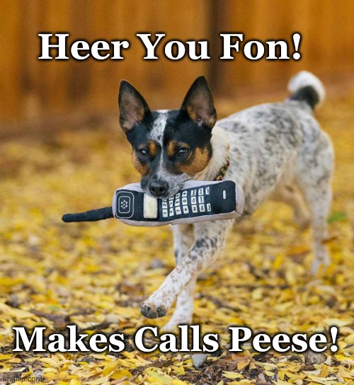 Dog brings Phone | Heer You Fon! Makes Calls Peese! | image tagged in here phone,make calls,dog and phone | made w/ Imgflip meme maker