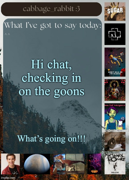 How is everybody | Hi chat, checking in on the goons; What’s going on!!! | image tagged in cabbage_rabbit | made w/ Imgflip meme maker