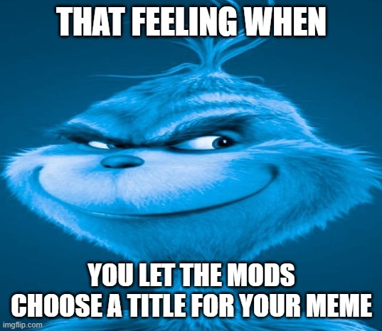 Blue Grinch | THAT FEELING WHEN YOU LET THE MODS CHOOSE A TITLE FOR YOUR MEME | image tagged in blue grinch | made w/ Imgflip meme maker