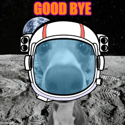 GOOD BYE | made w/ Imgflip meme maker