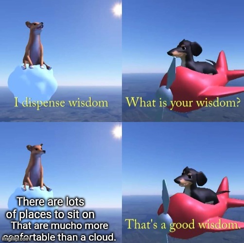 Wisdom dog | There are lots of places to sit on; That are mucho more confortable than a cloud. | image tagged in wisdom dog | made w/ Imgflip meme maker