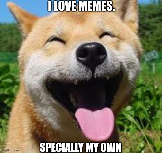 Happy Doge | I LOVE MEMES. SPECIALLY MY OWN | image tagged in happy doge | made w/ Imgflip meme maker