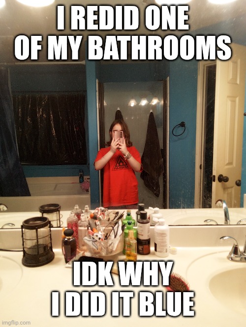 I REDID ONE OF MY BATHROOMS; IDK WHY I DID IT BLUE | made w/ Imgflip meme maker