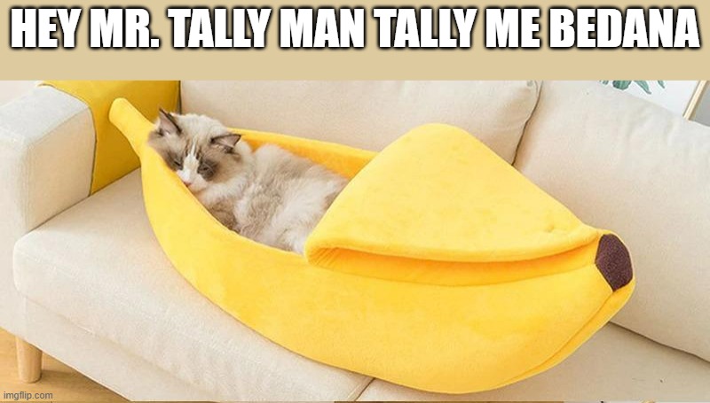 Hey Mr. Tally Man, tally me banana. Cat bed humor. | HEY MR. TALLY MAN TALLY ME BEDANA | image tagged in cats,funny,kitten,banana,bed,humor | made w/ Imgflip meme maker