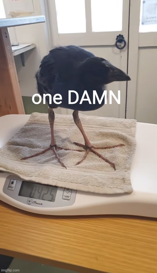 one DAMN | made w/ Imgflip meme maker