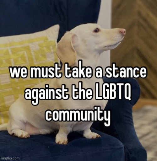 Homophobic dog | image tagged in homophobic dog | made w/ Imgflip meme maker