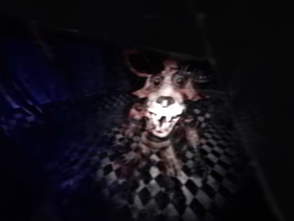 Foxy reaction Blank Meme Template