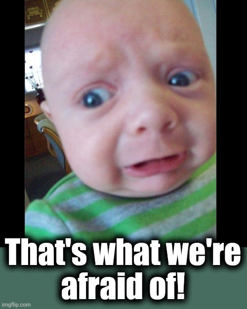 Terrified of Reality Baby | That's what we're
afraid of! | image tagged in terrified of reality baby | made w/ Imgflip meme maker
