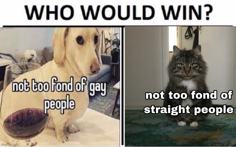 Who Would Win? | image tagged in who would win | made w/ Imgflip meme maker