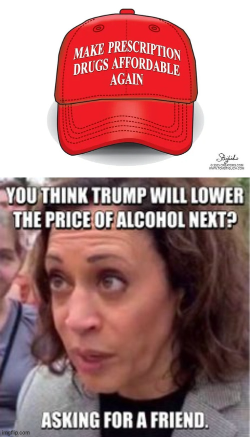 Asking for a friend | image tagged in trump,keeping promises,lowering prices | made w/ Imgflip meme maker