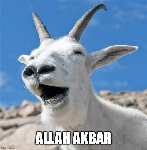Laughing Goat Meme | ALLAH AKBAR | image tagged in memes,laughing goat | made w/ Imgflip meme maker