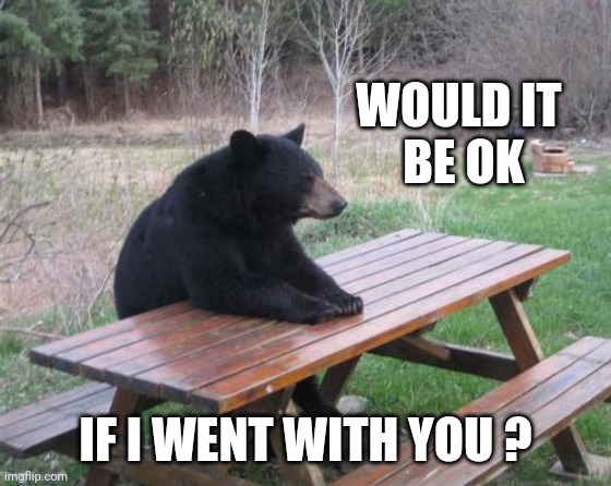Bad Luck Bear Meme | WOULD IT
 BE OK IF I WENT WITH YOU ? | image tagged in memes,bad luck bear | made w/ Imgflip meme maker