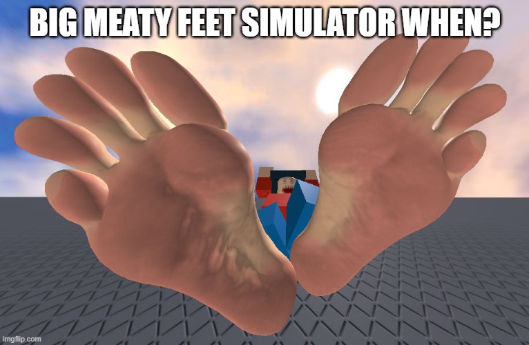 Roblox Feet | BIG MEATY FEET SIMULATOR WHEN? | image tagged in roblox feet | made w/ Imgflip meme maker