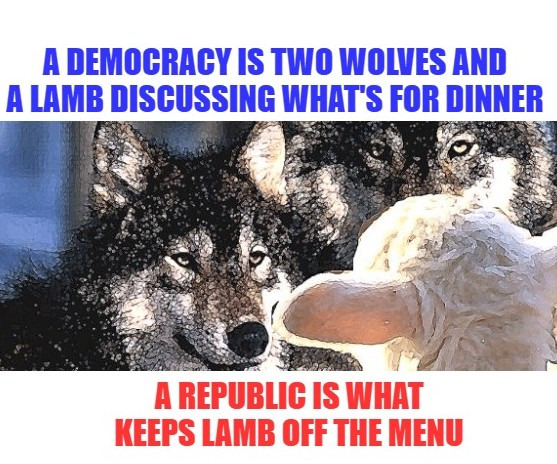 Nice One | image tagged in republic,democracy,wolf,lamb,the democraps hate that,pledge of allegance says republic | made w/ Imgflip meme maker